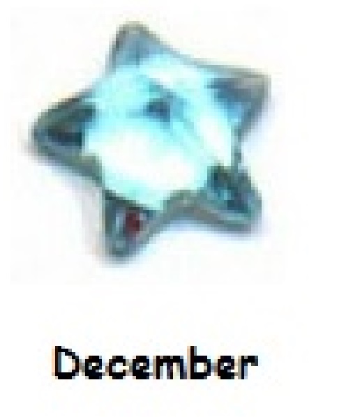 December birthstone star 4mm floating locket charm - Click Image to Close